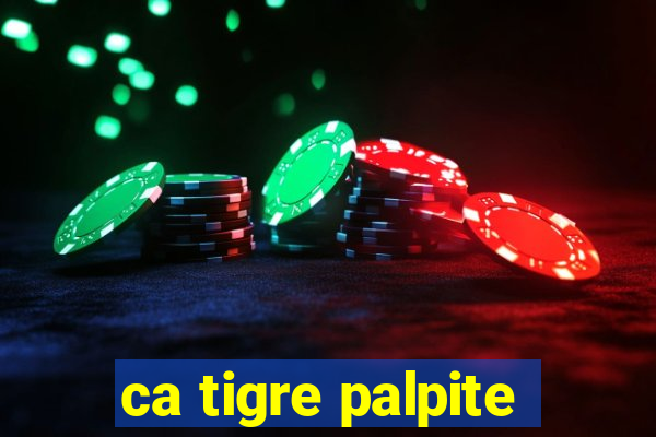 ca tigre palpite